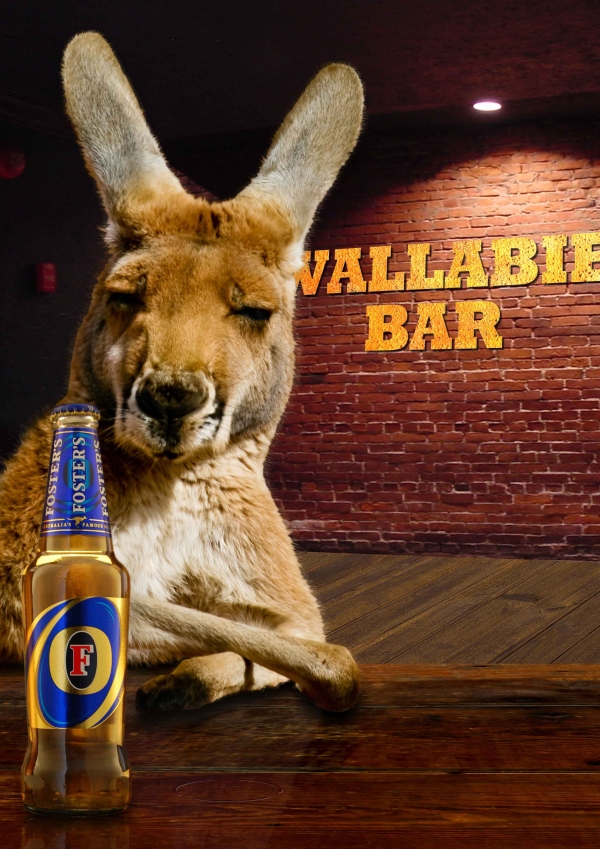 Creation of Wallabie Bar: Step 10